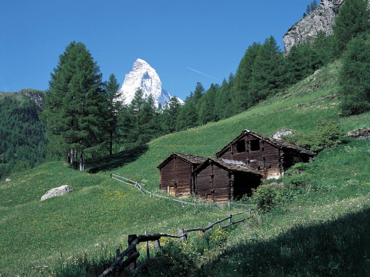 Apartment Fis By Interhome Zermatt Zewnętrze zdjęcie