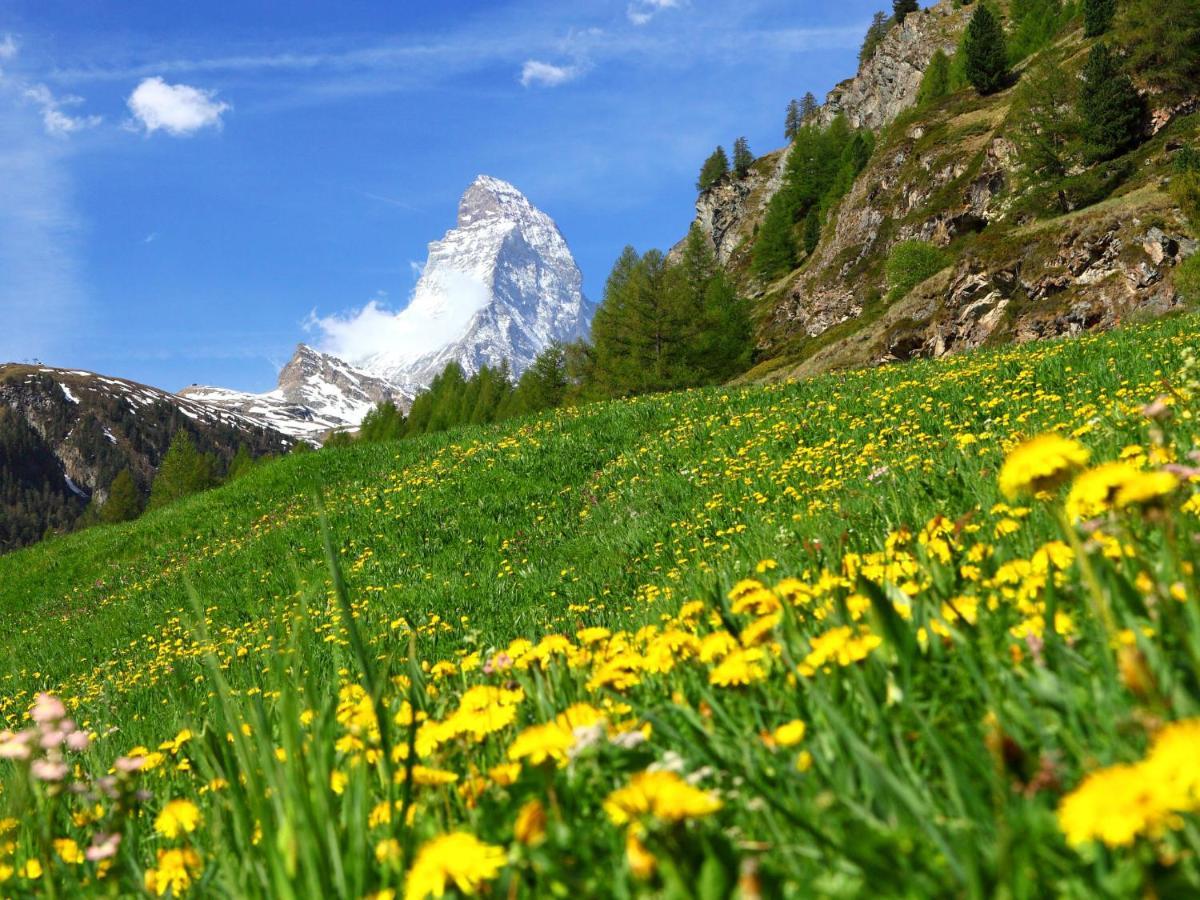 Apartment Fis By Interhome Zermatt Zewnętrze zdjęcie